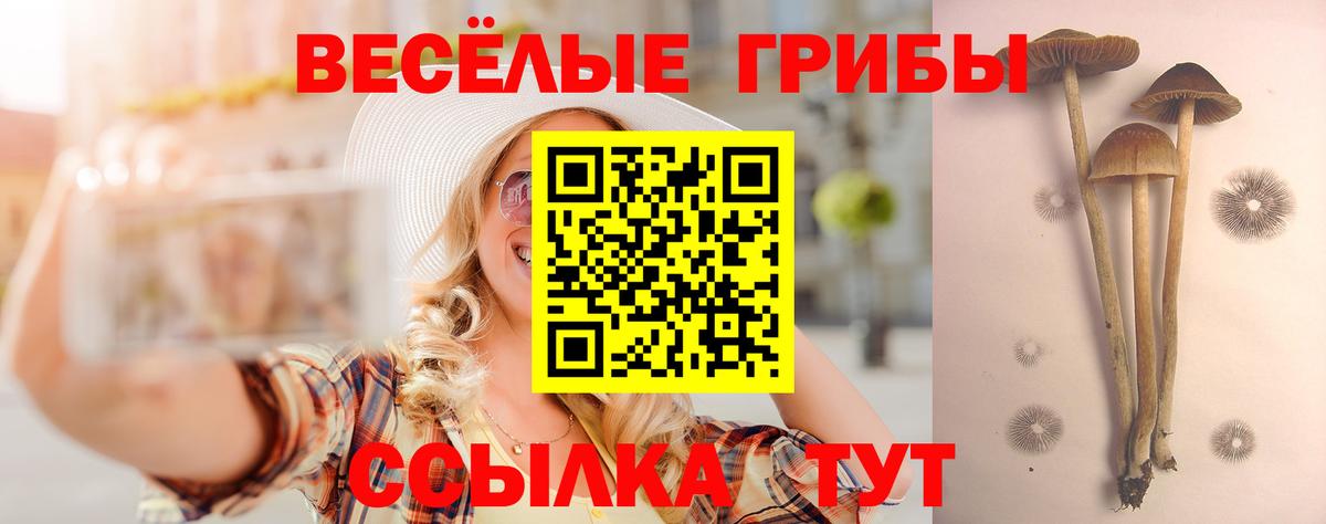 Галлюциногенные грибы GOLDEN TEACHER Всеволожск