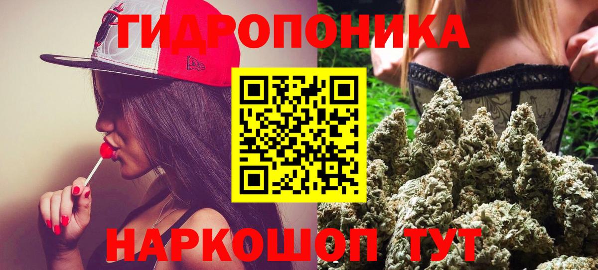 Каннабис Bruce Banner  МАРИХУАНА THC 21%  МАРИХУАНА OG Kush  Вход с VPN  Каннабис VHQ  Всеволожск 